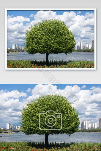 绿树环保蓝天白云建筑图片