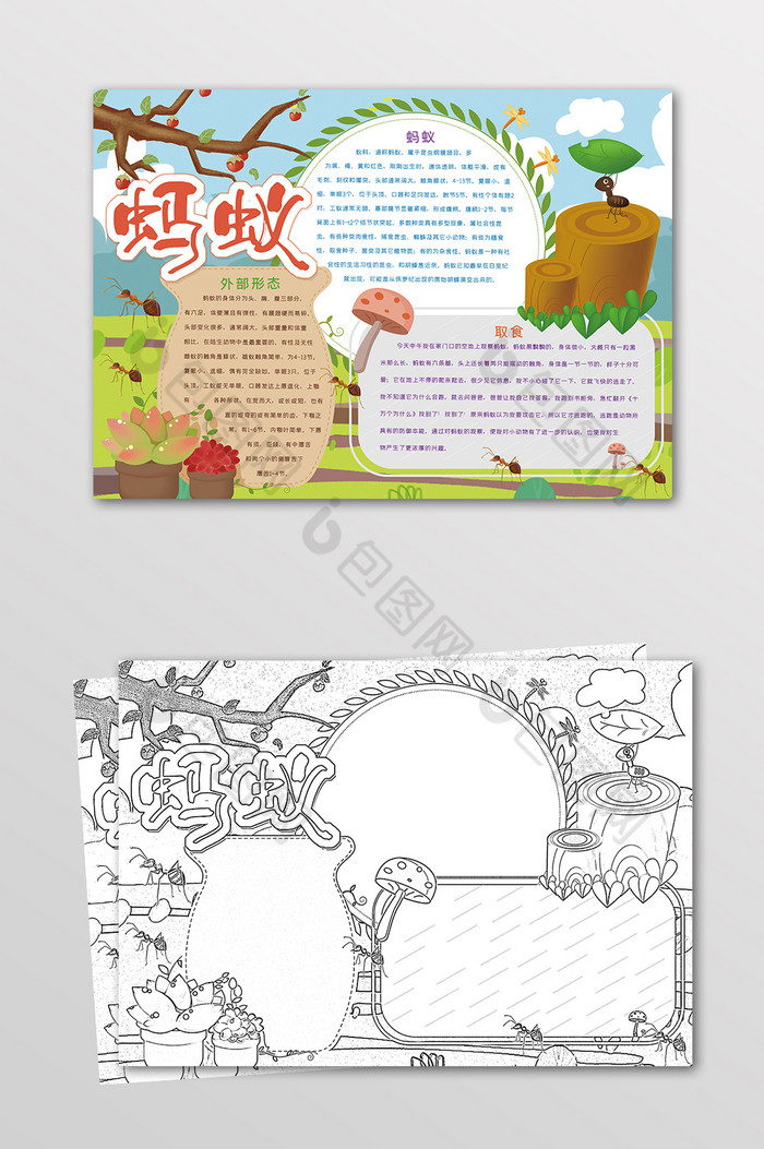 蚂蚁昆虫观察手抄报黑白线描小报图片
