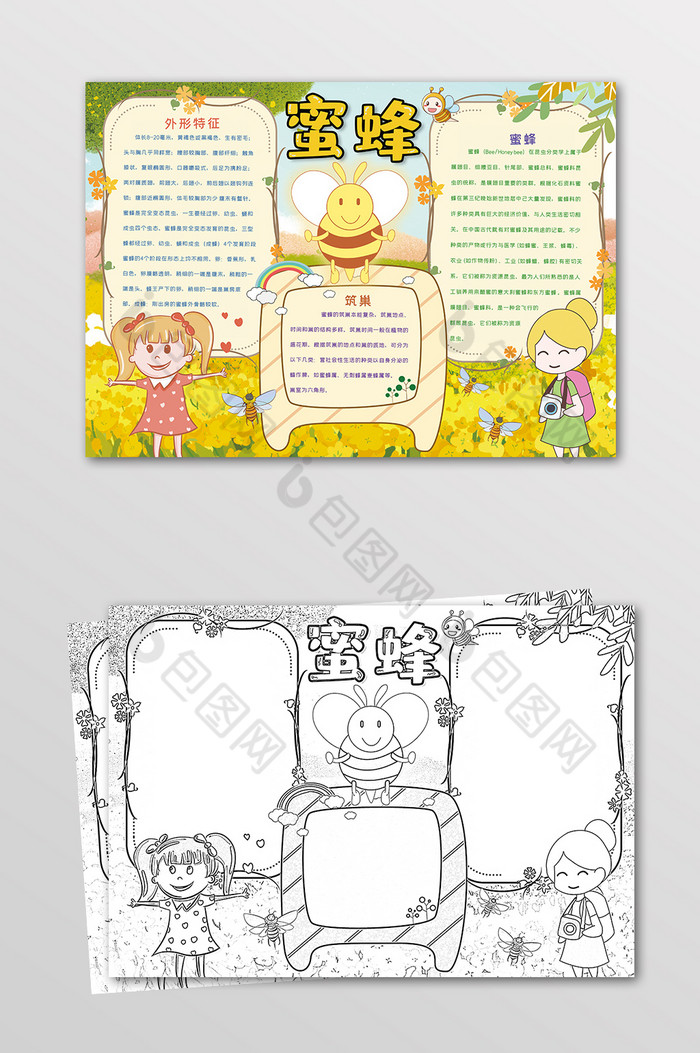 蜜蜂昆虫观察动物手抄报黑白线描小报素材免费下载,本次作品主题是