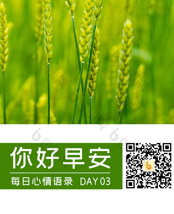 黄绿色清新成熟水稻心情语录早安手机海报