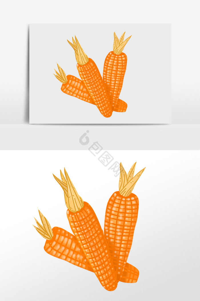 农作物新鲜有机玉米插画图片