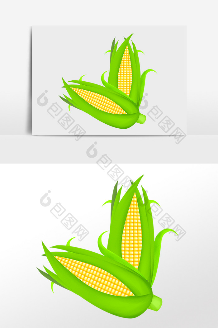 手绘农作物绿色有机玉米蔬菜插画