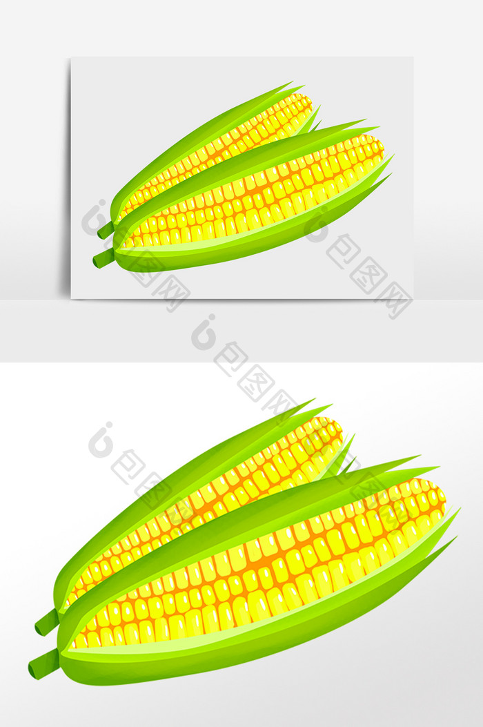 手绘农作物有机粮食玉米插画