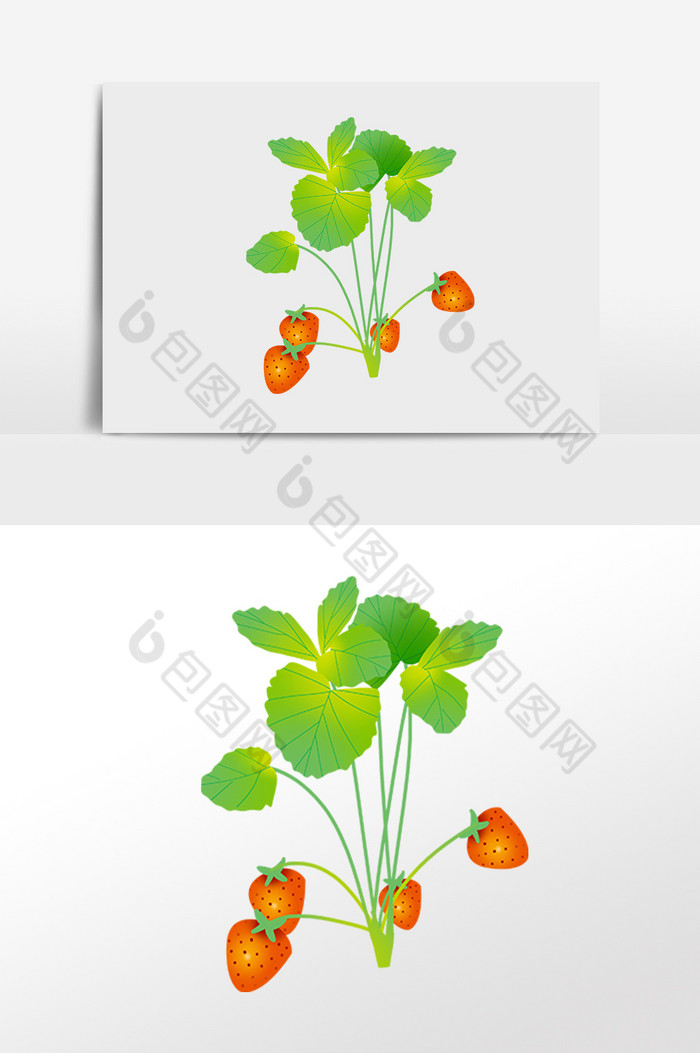 农作物新鲜水果草莓插画图片图片