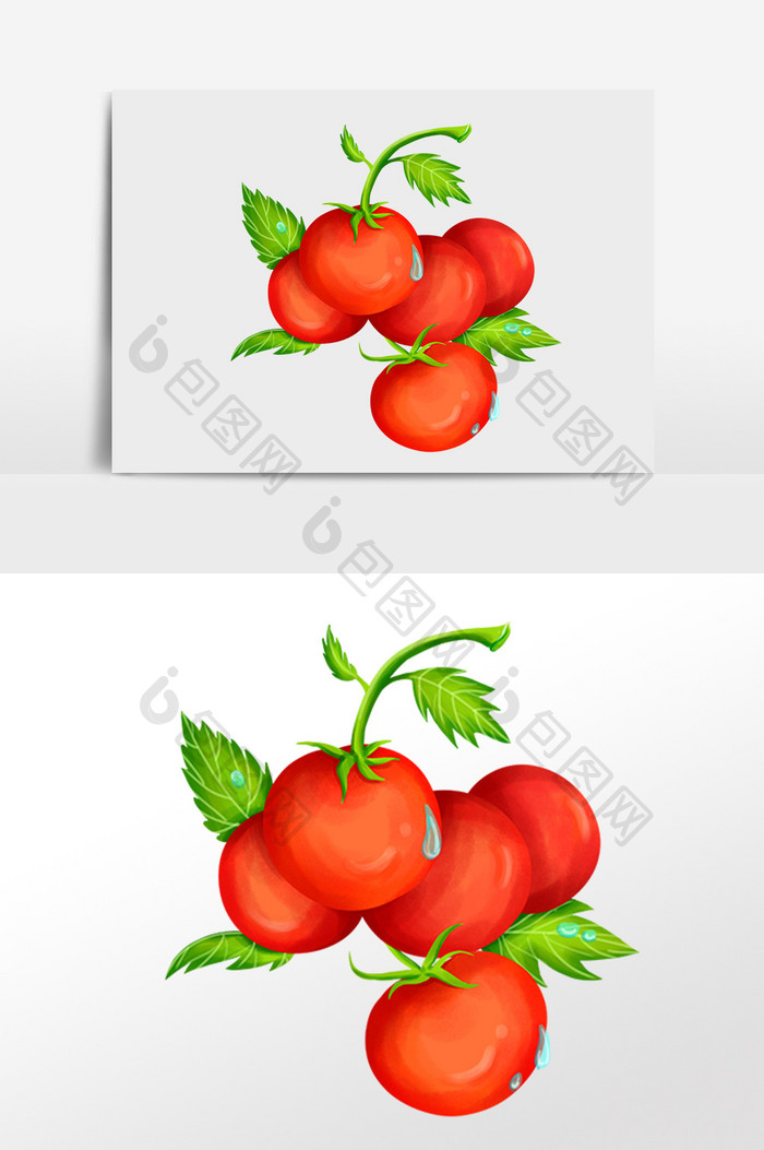 手绘农作物有机新鲜蔬菜番茄插画