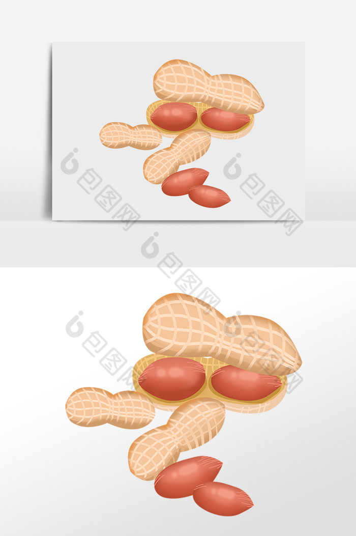 农作物有机食物花生豆插画图片图片