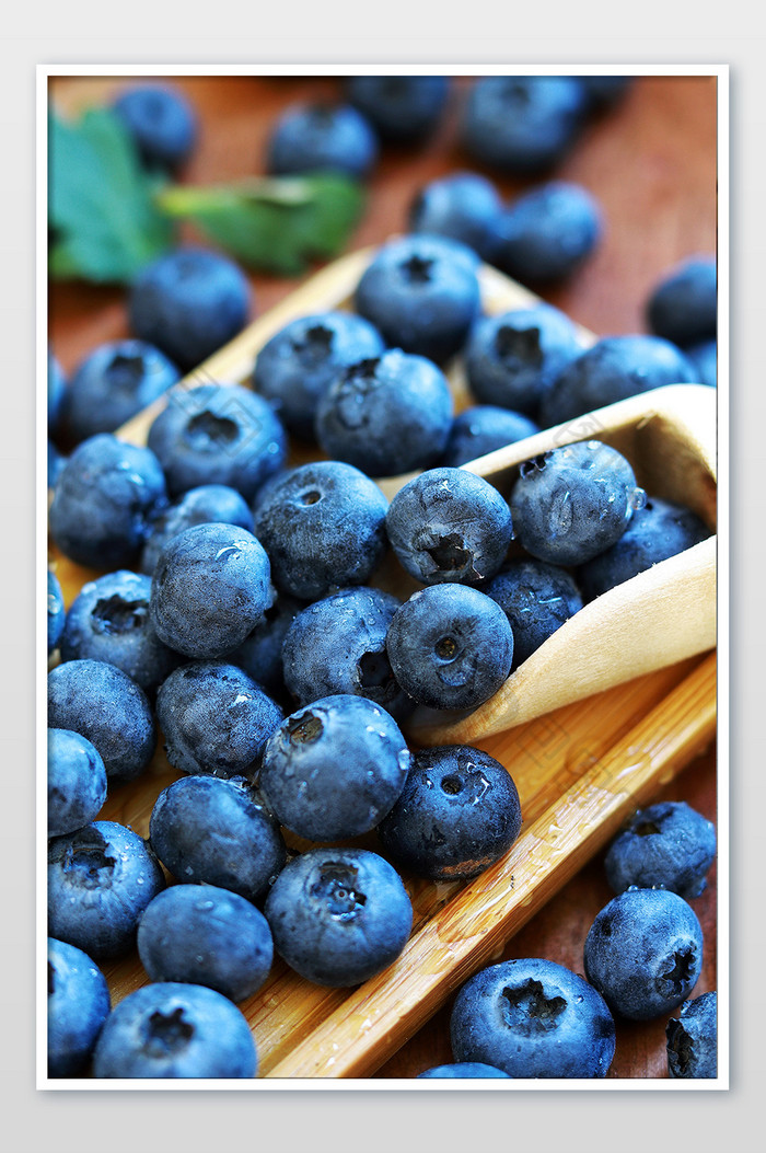 蓝莓水果特写产品电商用途图片图片