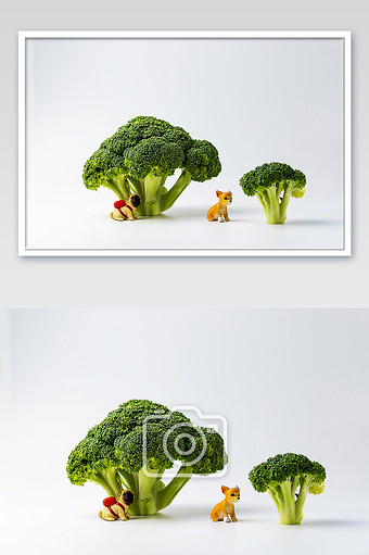 微缩景观创意西兰花摄影图片