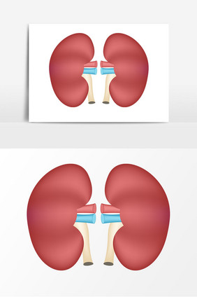 卡通脏器肾器官元素