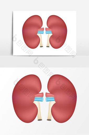 卡通脏器肾器官元素图片