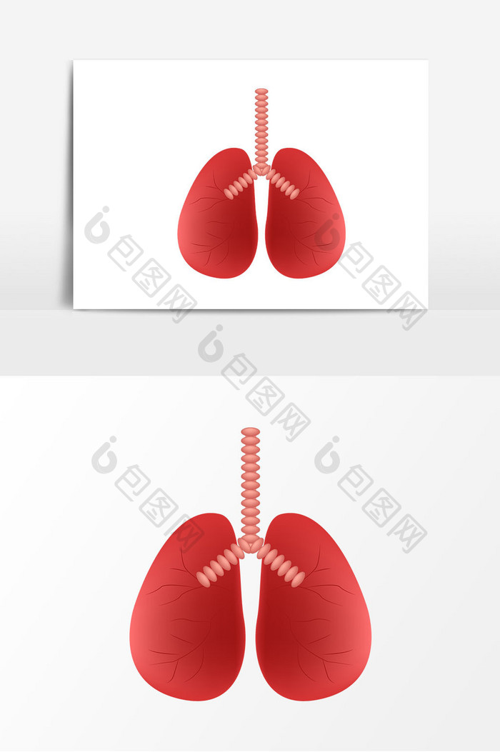 卡通肺叶矢量元素