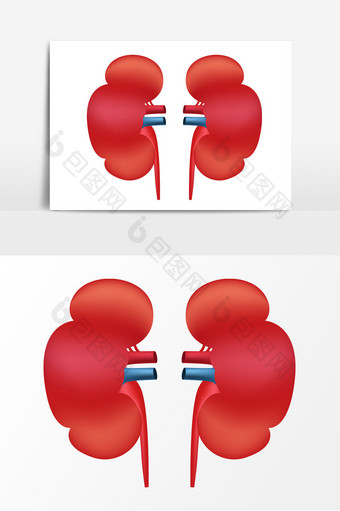 卡通肾脏器矢量元素图片