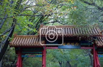公园绿色中国风传统古建筑摄影图片