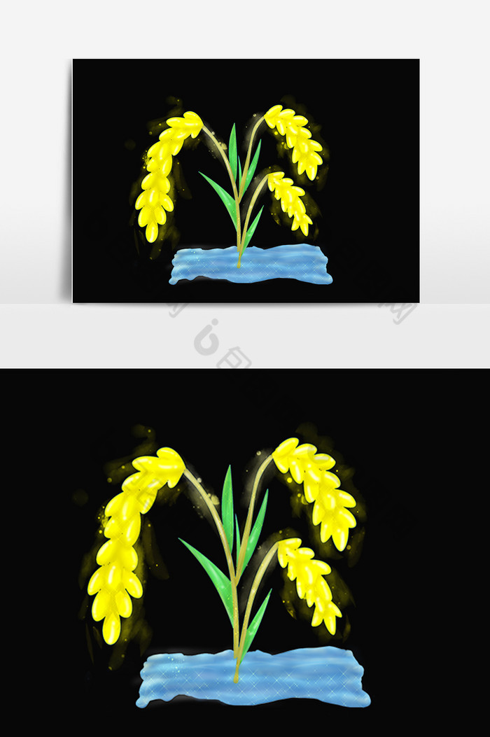农作物粮食稻谷谷穗插画图片图片