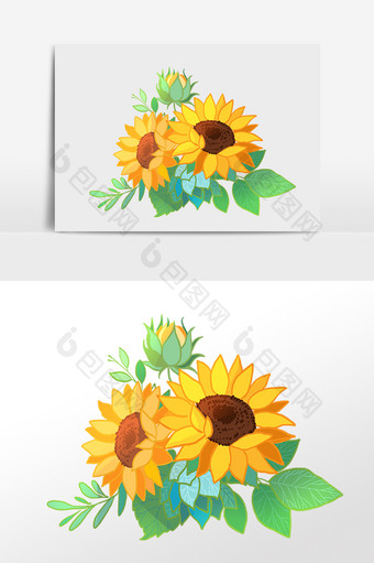 手绘植物黄色花朵太阳花插画图片