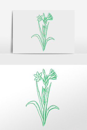 手绘绿色线描植物兰花插画