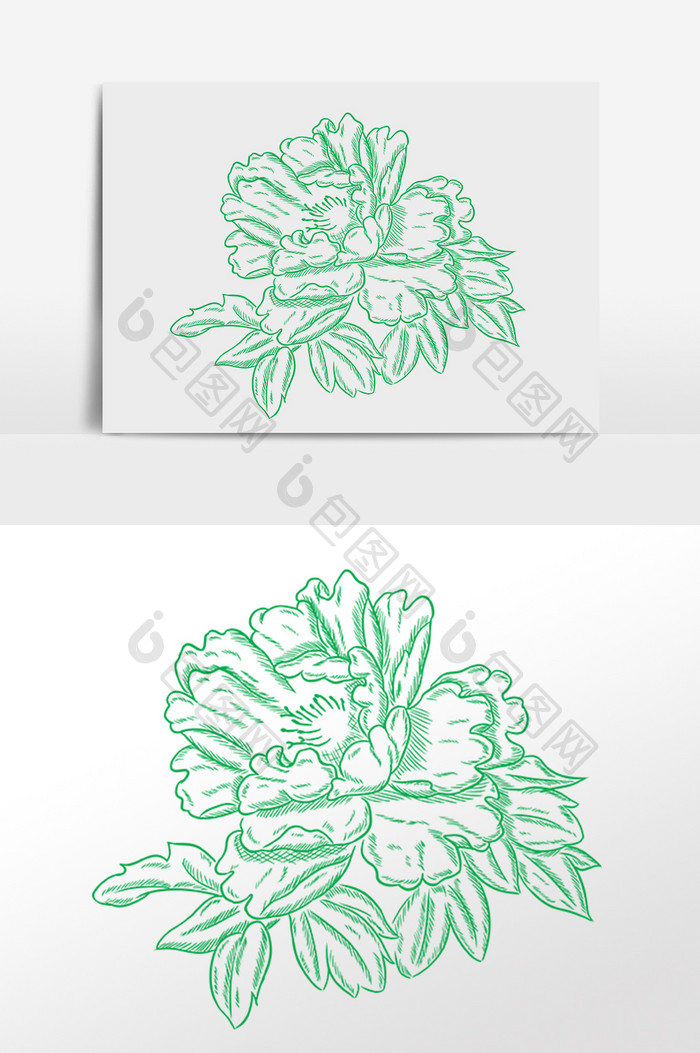手绘绿色线描植物牡丹插画