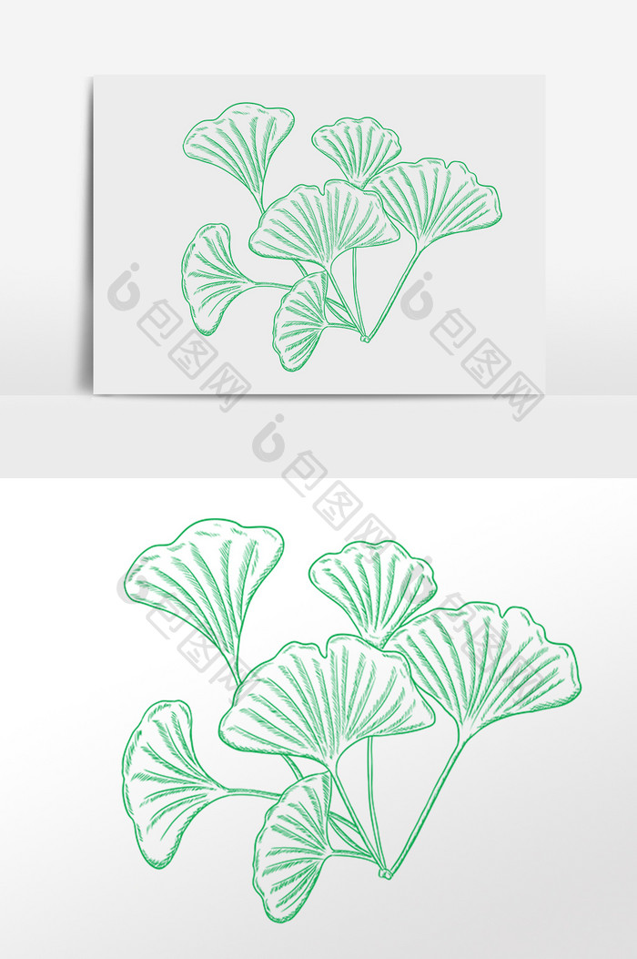 手绘绿色线描素描植物花插画