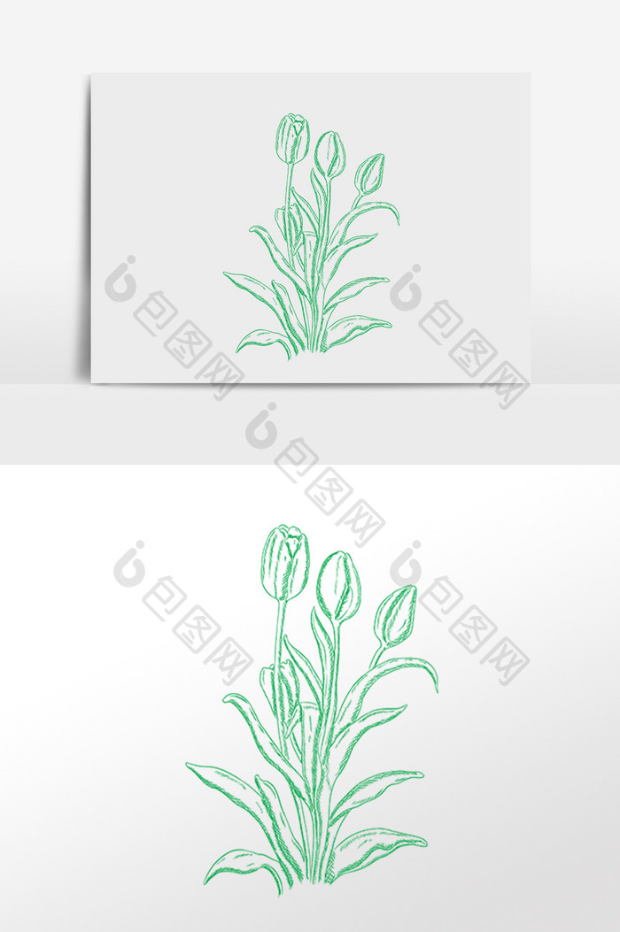 手绘绿色线描素描植物插画