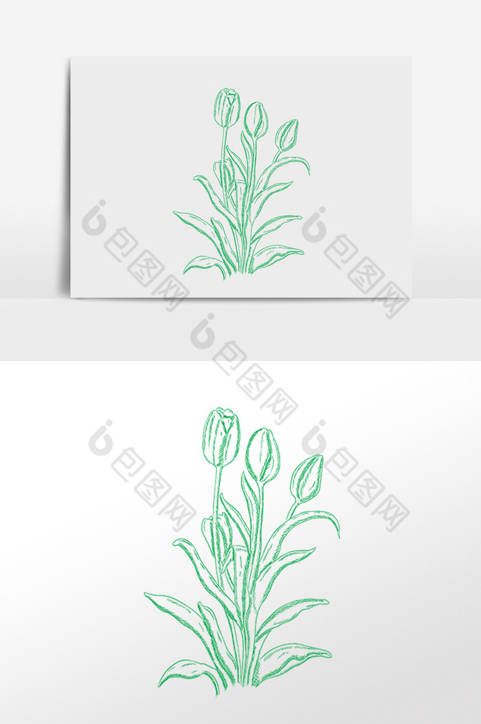 线描素描植物插画图片图片