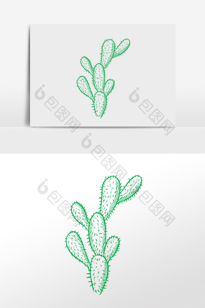 手绘绿色线描植物仙人掌插画