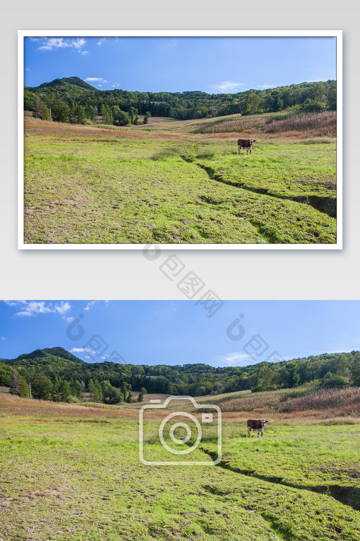 绿色田园风光场景