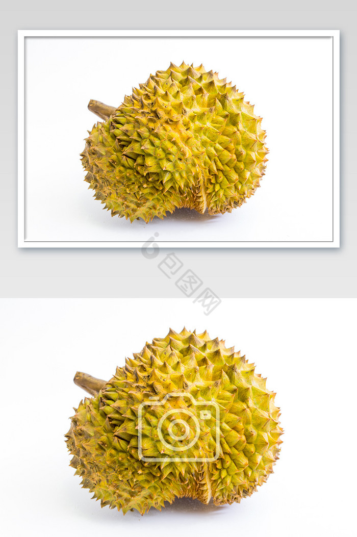 热带水果泰国金枕榴莲白色背景图图片