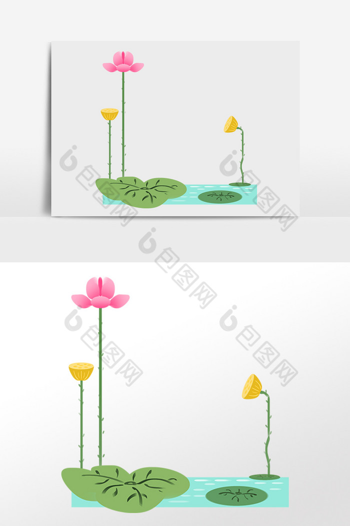 植物荷花边框插画图片图片