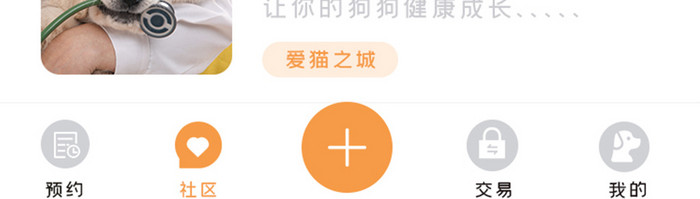 黄色扁平简约宠物社区推文UI移动界面