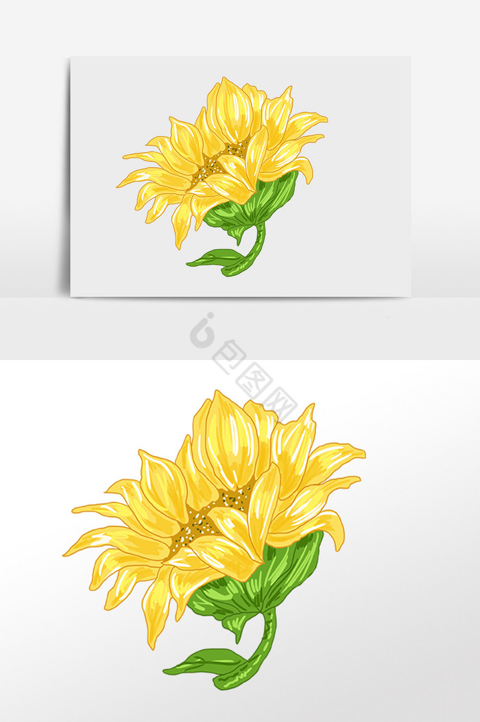 农作物花朵向日葵插画
