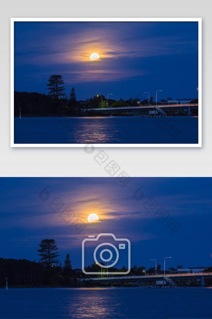 澳大利亚月光下的鹈鹕自然风光摄影图片图片