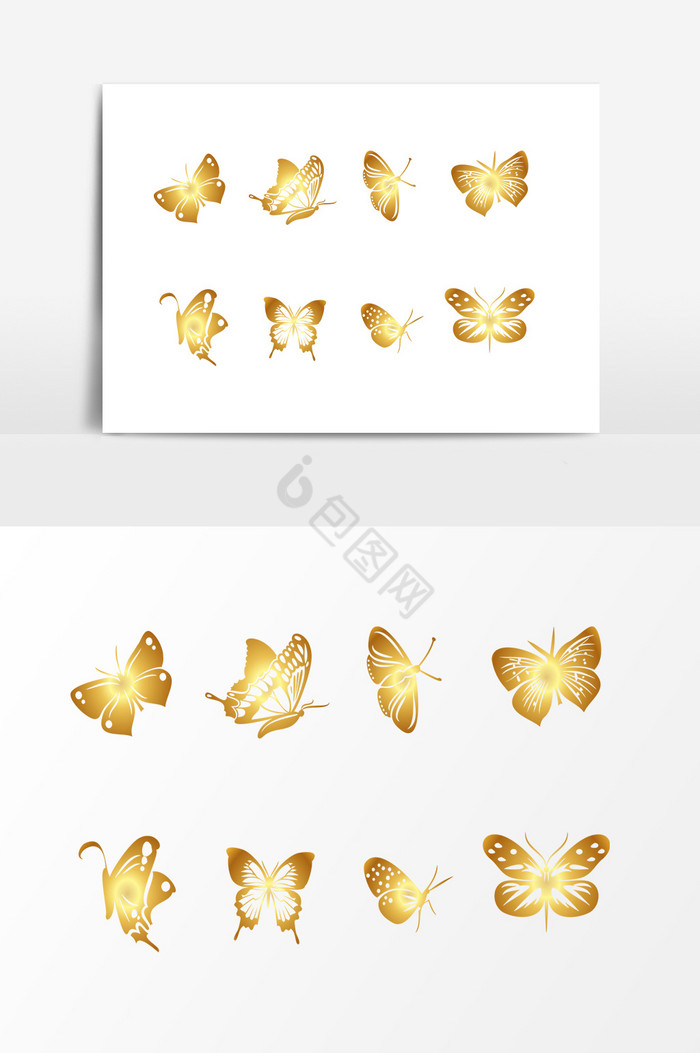 金色蝴蝶昆虫图片