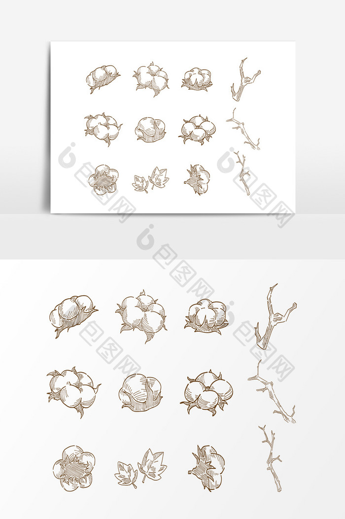 棉花线条图案设计素材