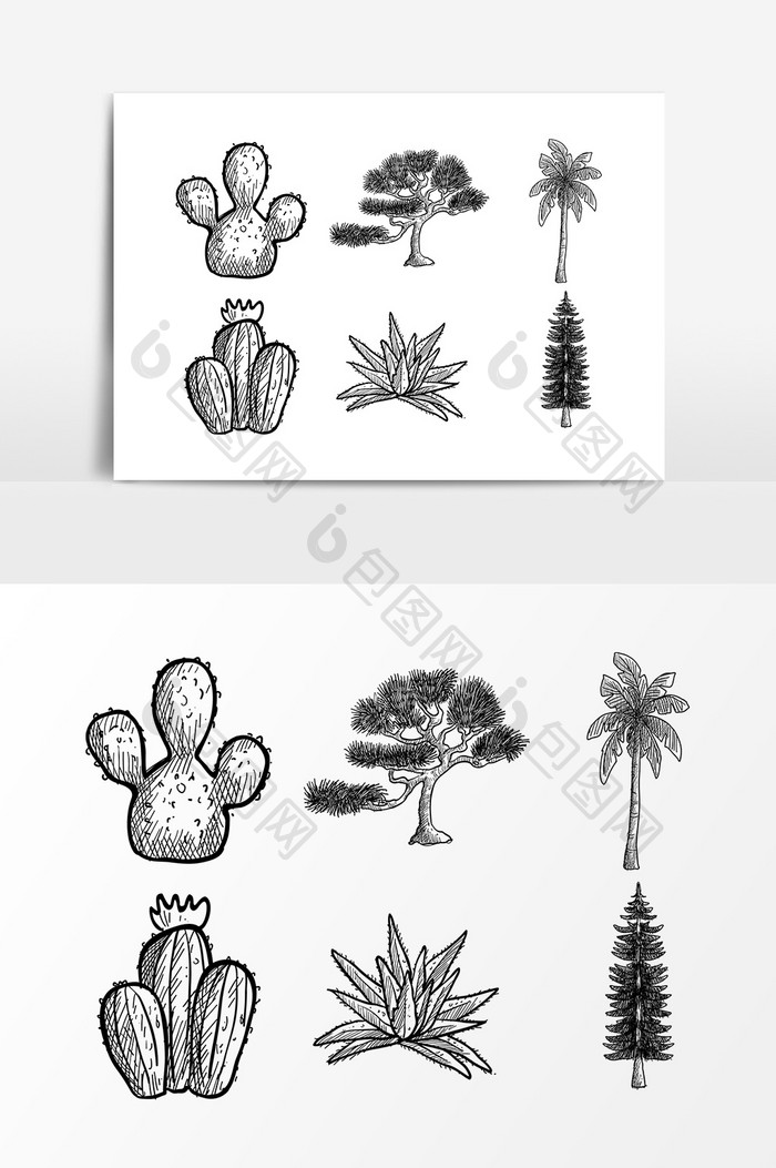 素描植物仙人掌树木设计素材