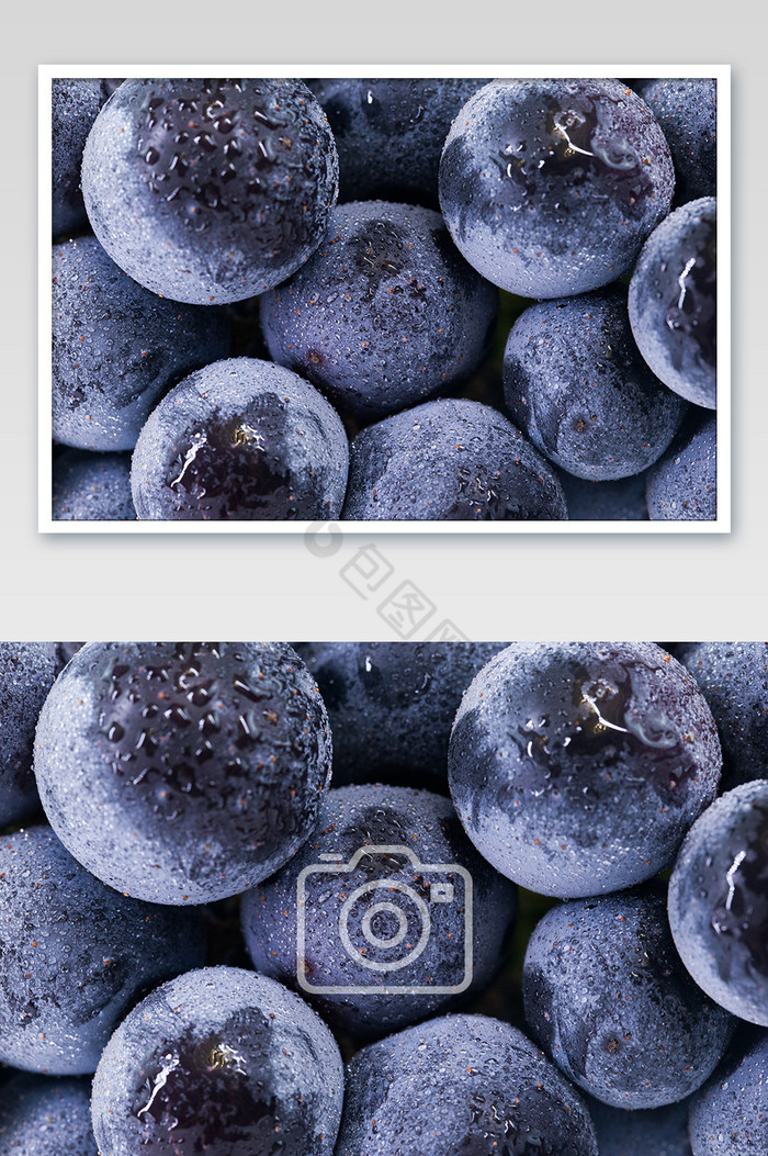 横版葡萄黑色水果新鲜葡萄图片