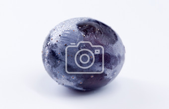 紫黑葡萄横版白色背景特写水果黑提子图片