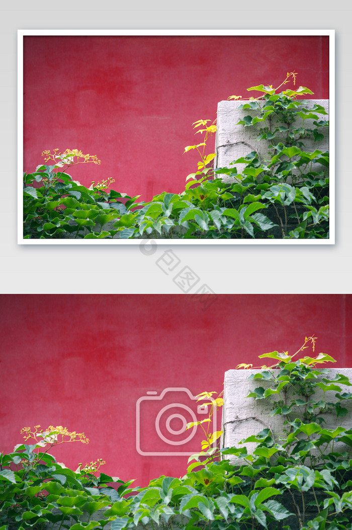 红墙绿瓦自然美景图片