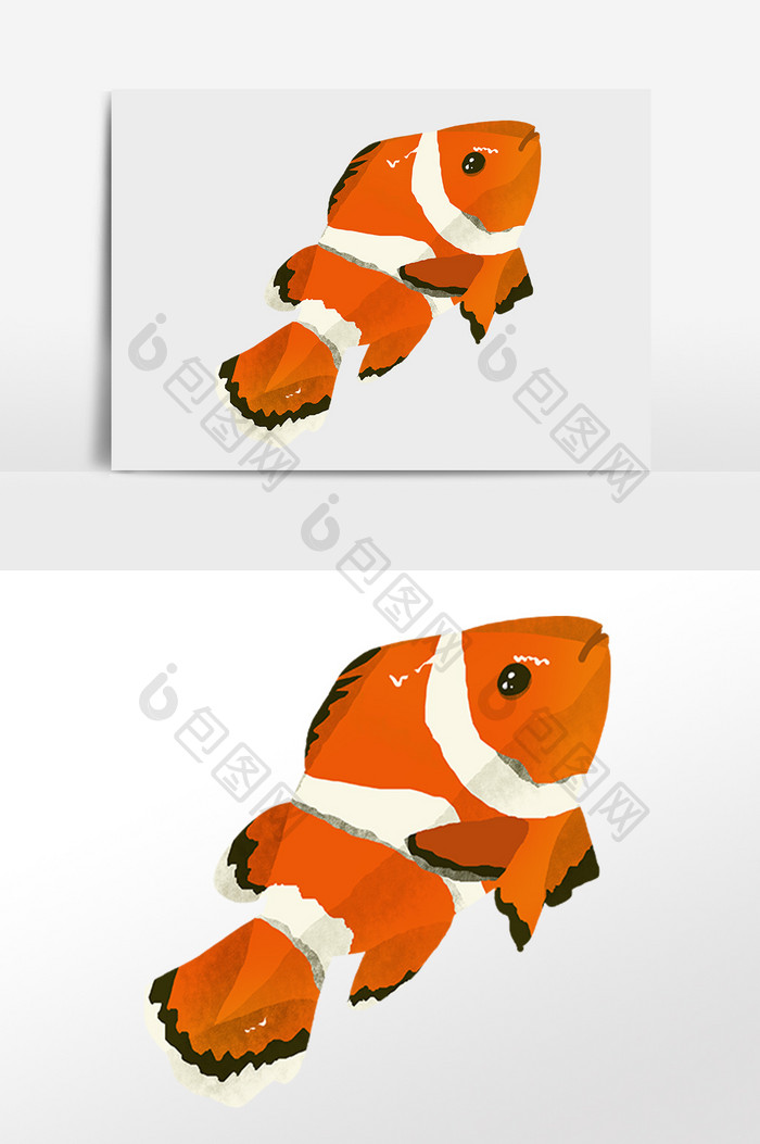 手绘海洋水生物动物小丑鱼插画