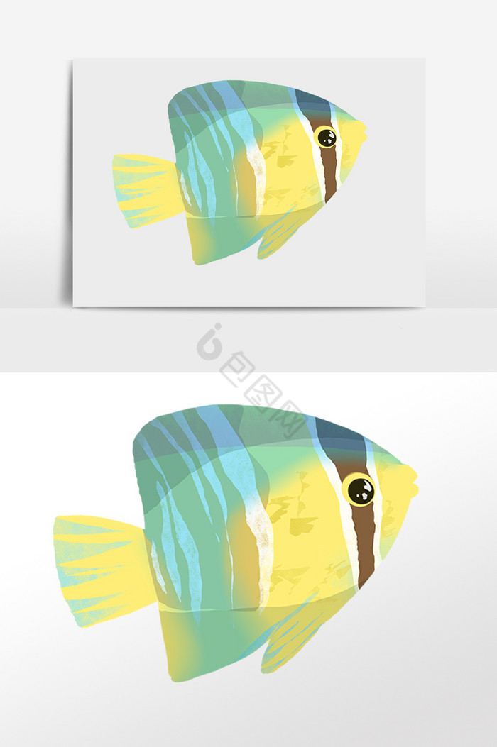 海洋水生物动物海鱼插画图片