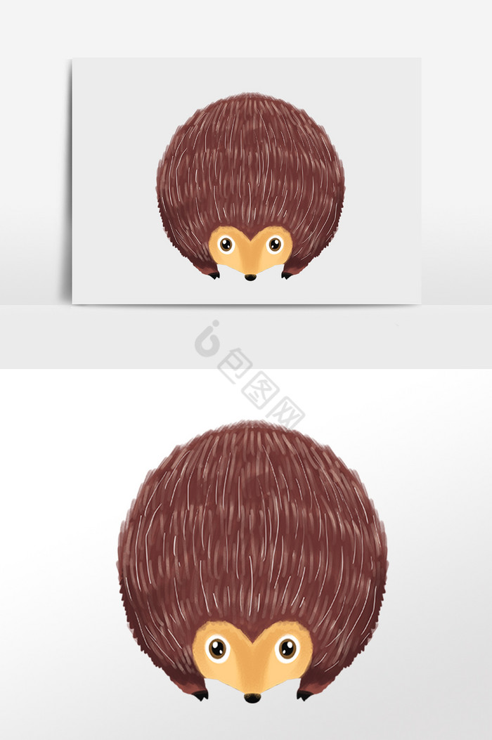 小动物刺猬插画图片