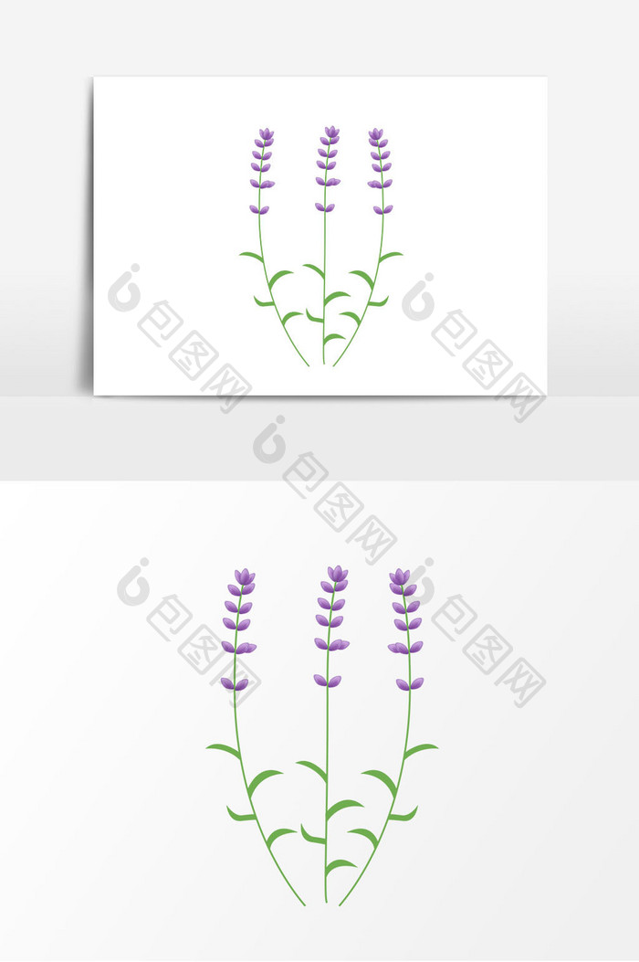 紫色薰衣草花朵矢量元素