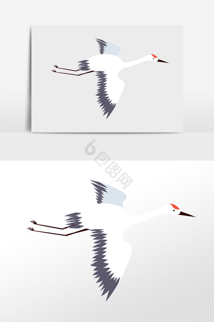飞翔飞鹤野生动物插画图片
