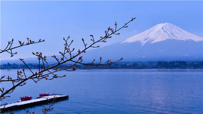 欢快幽默搞怪mg短视频配乐