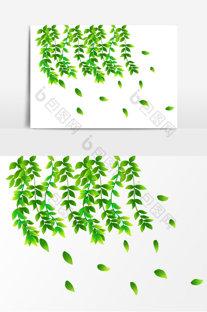 树叶形象图片图片