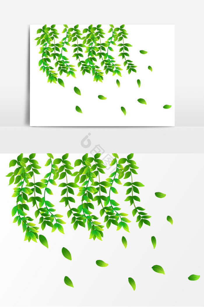 树叶形象图片