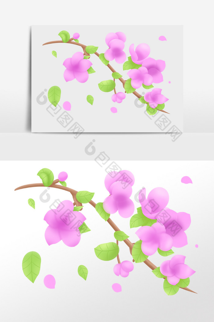 植物樱花枝花开插画图片图片