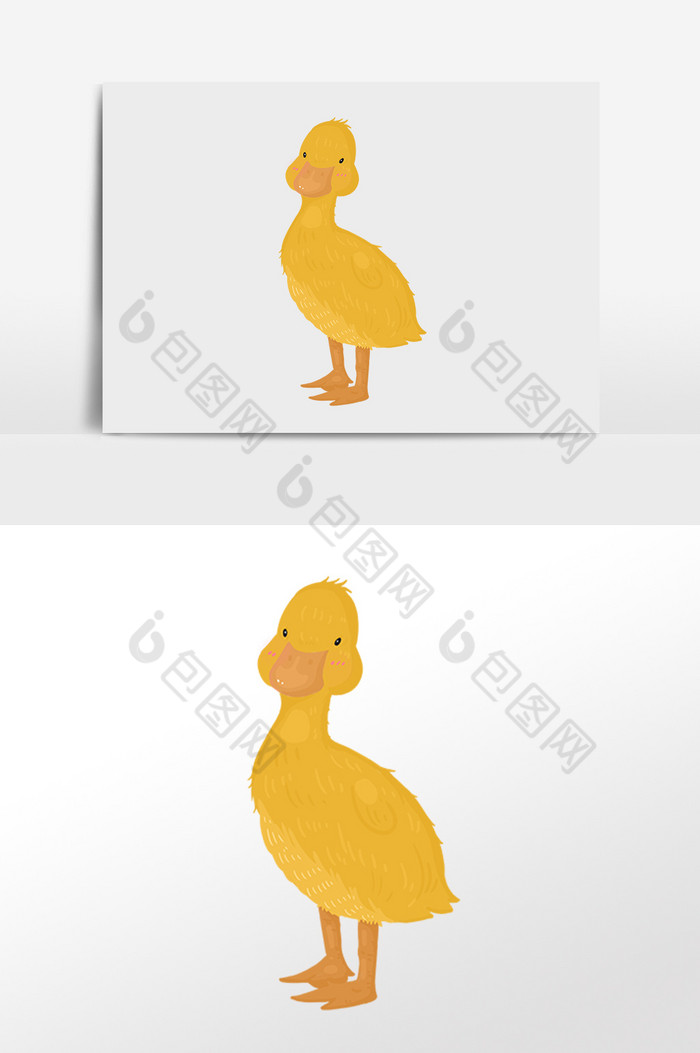 小动物鸭子插画图片图片
