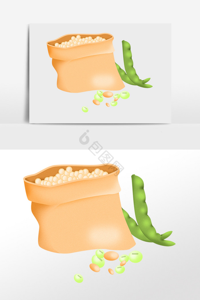 有机农作物食物黄豆插画图片