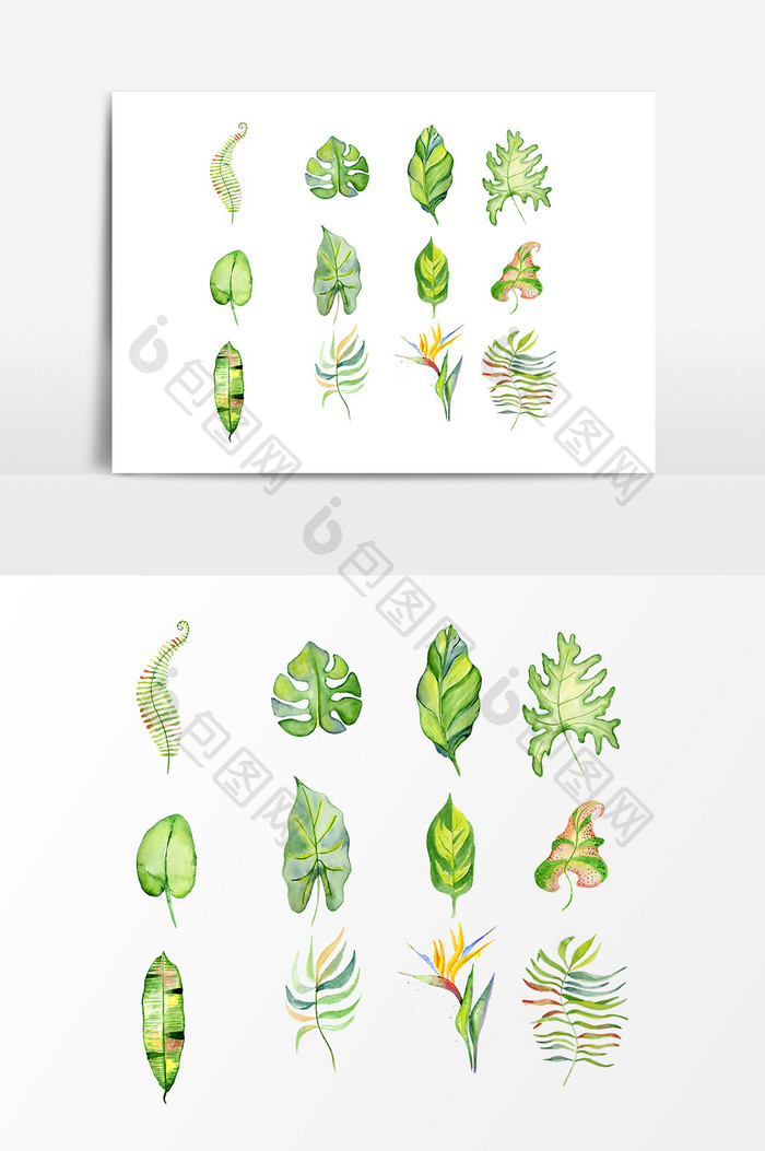 卡通绿色植物叶片元素设计