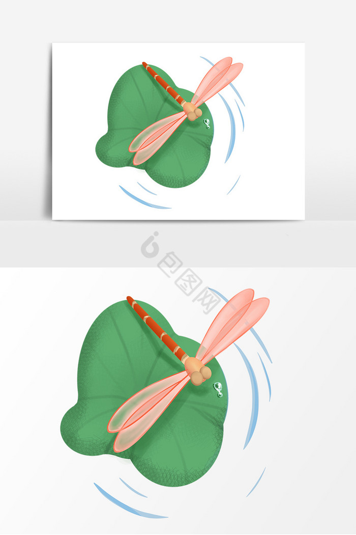 昆虫蜻蜓图片